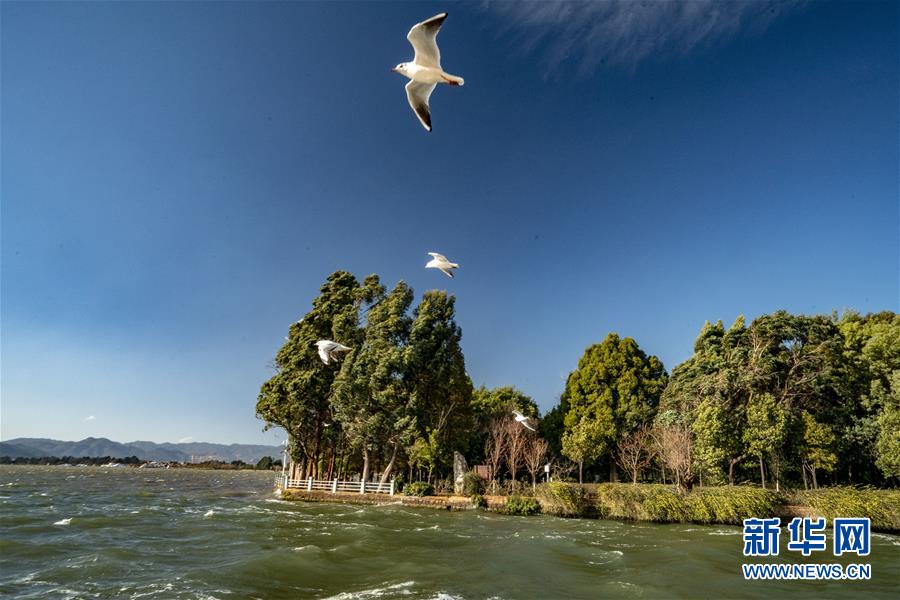 (圖文互動)(7)跨越發(fā)展起宏圖 信心滿懷著華章——習(xí)近平總書記考察云南回訪記