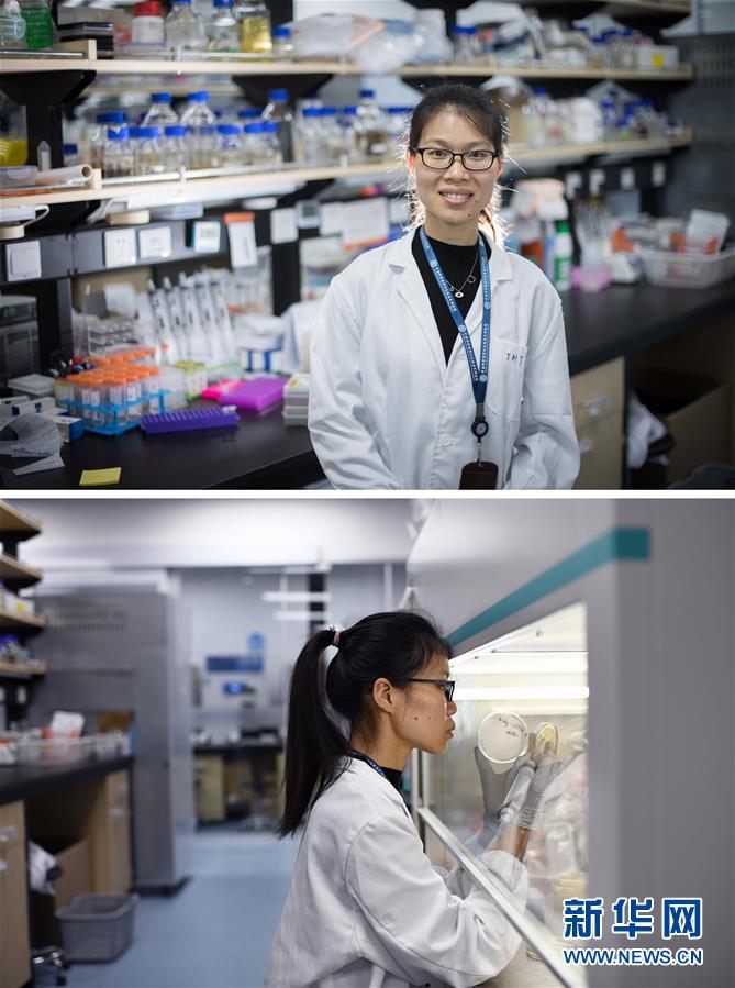 (新華全媒頭條·圖文互動(dòng))(1)創(chuàng)造中華民族的偉大歷史時(shí)間——寫(xiě)在農(nóng)歷庚子鼠年春節(jié)到來(lái)之際