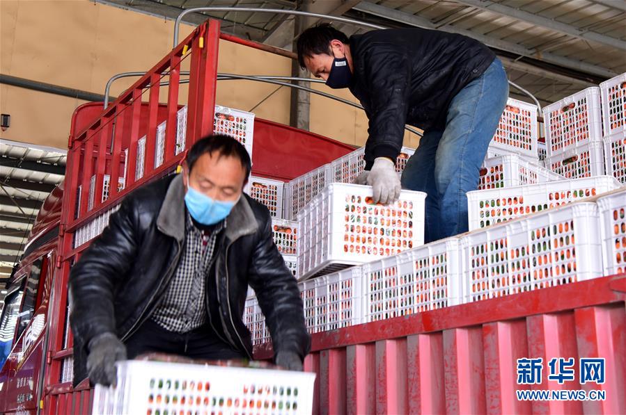 （聚焦疫情防控&middot;圖文互動(dòng)）（5）吃的東西充足，做點(diǎn)花樣菜吧！&mdash;&mdash;中部地區(qū)最大農(nóng)產(chǎn)品批發(fā)市場(chǎng)見(jiàn)聞 