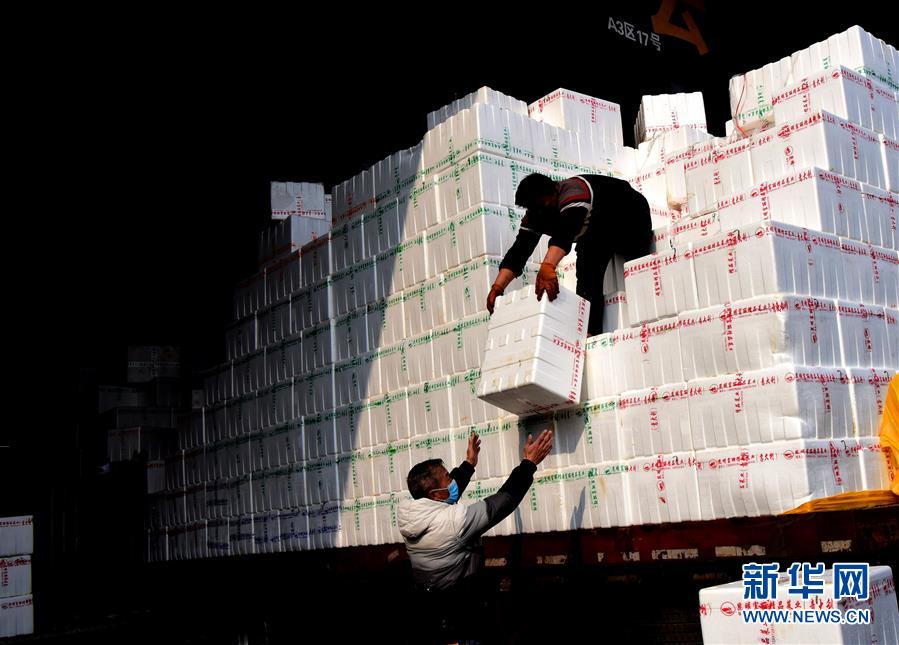 （聚焦疫情防控&middot;圖文互動(dòng)）（4）吃的東西充足，做點(diǎn)花樣菜吧！&mdash;&mdash;中部地區(qū)最大農(nóng)產(chǎn)品批發(fā)市場(chǎng)見(jiàn)聞 