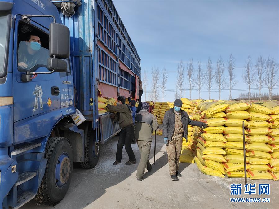 （春耕備耕&middot;圖文互動）（1）&ldquo;疫&rdquo;線賽農(nóng)時 播種新希望&mdash;&mdash;產(chǎn)糧大省黑龍江別樣&ldquo;備耕圖&rdquo;