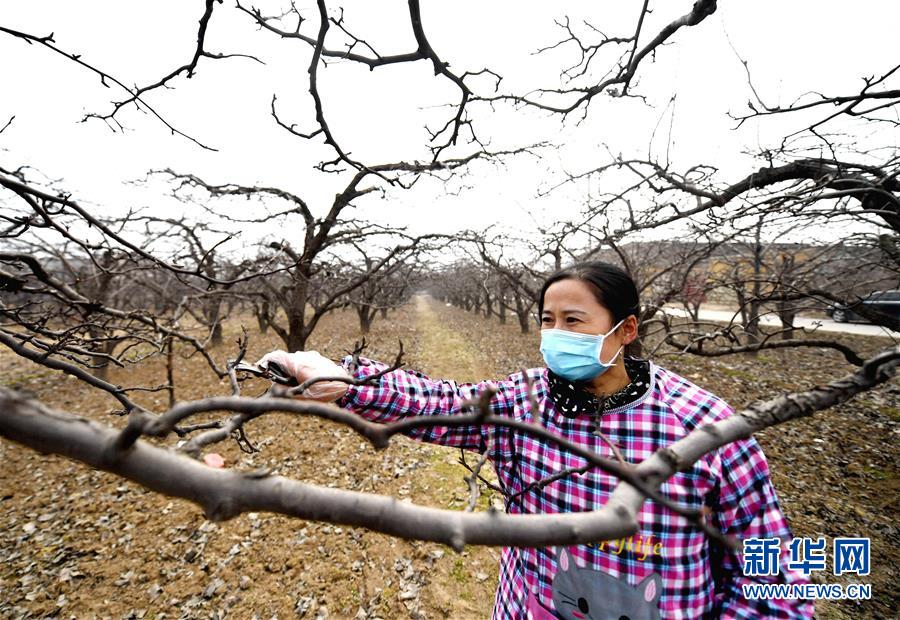 （聚焦疫情防控&middot;圖文互動）（3）農民工返城：幾多憧憬幾許等待&mdash;&mdash;走進疫情下的河北勞務輸出專業(yè)村