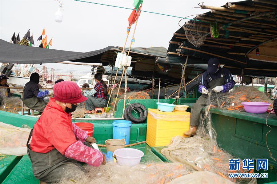 （圖文互動(dòng)）（2）與疫情抗?fàn)?與春光同行&mdash;&mdash;廣西農(nóng)村春耕備耕一線觀察