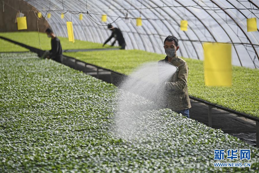 （新華全媒頭條&middot;圖文互動(dòng)）（12）磨難壓不垮 奮起正當(dāng)時(shí)&mdash;&mdash;習(xí)近平總書(shū)記在統(tǒng)籌推進(jìn)新冠肺炎疫情防控和經(jīng)濟(jì)社會(huì)發(fā)展工作部署會(huì)議上的重要講話振奮人心凝聚力量