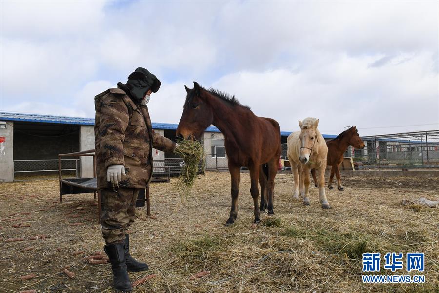 (聚焦疫情防控·圖文互動)(1)行進(jìn)在鄉(xiāng)間的馬背巡邏隊(duì)