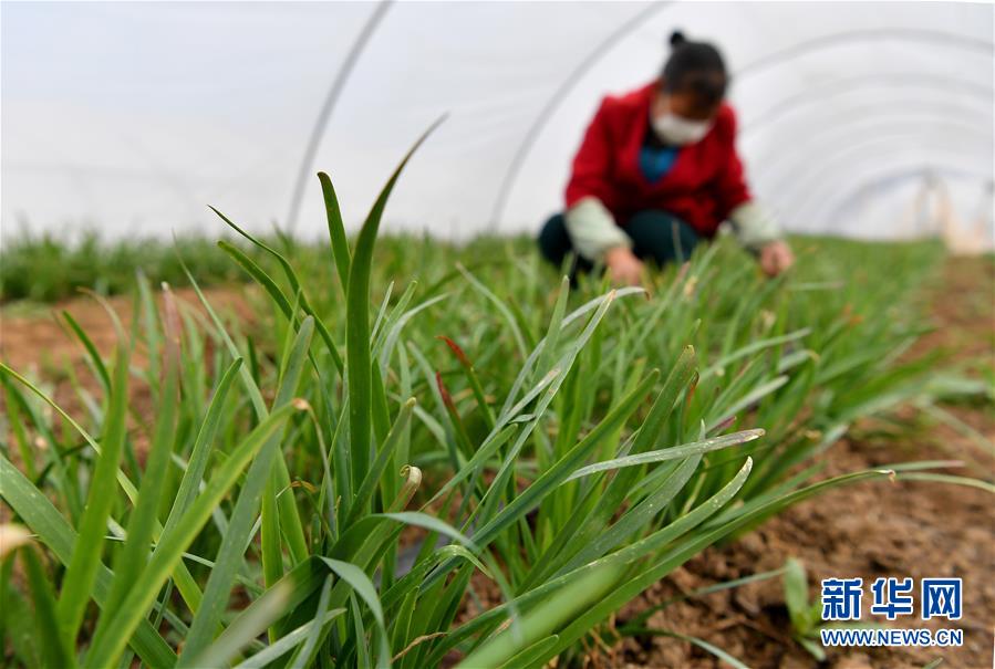 （圖文互動）（3）&ldquo;春天到了，熟悉的生活正在慢慢回來&rdquo;&mdash;&mdash;陜西多地復(fù)產(chǎn)復(fù)工一線見聞
