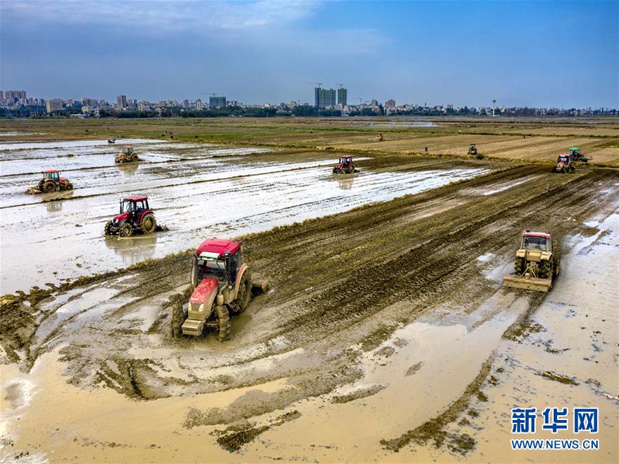 (圖文互動(dòng))讓“世界工廠”心不慌——廣東春耕生產(chǎn)見聞