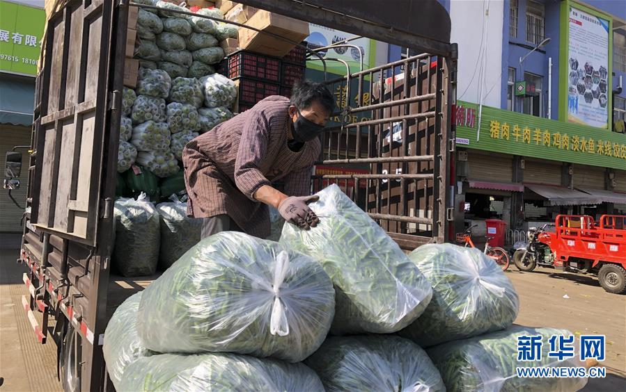 （圖文互動）（4）青青園中葵 朝露待日晞&mdash;&mdash;云南組織蔬菜等農(nóng)產(chǎn)品支援湖北記略