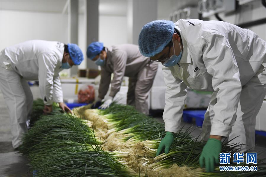 （圖文互動(dòng)）（6）&ldquo;早一天復(fù)工，損失就少一點(diǎn)&rdquo;&mdash;&mdash;廣西以精準(zhǔn)防控推動(dòng)復(fù)工復(fù)產(chǎn)一線見聞