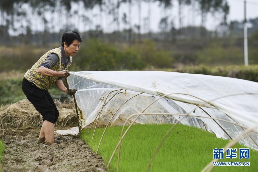（圖文互動(dòng)）（2）&ldquo;早一天復(fù)工，損失就少一點(diǎn)&rdquo;&mdash;&mdash;廣西以精準(zhǔn)防控推動(dòng)復(fù)工復(fù)產(chǎn)一線見聞