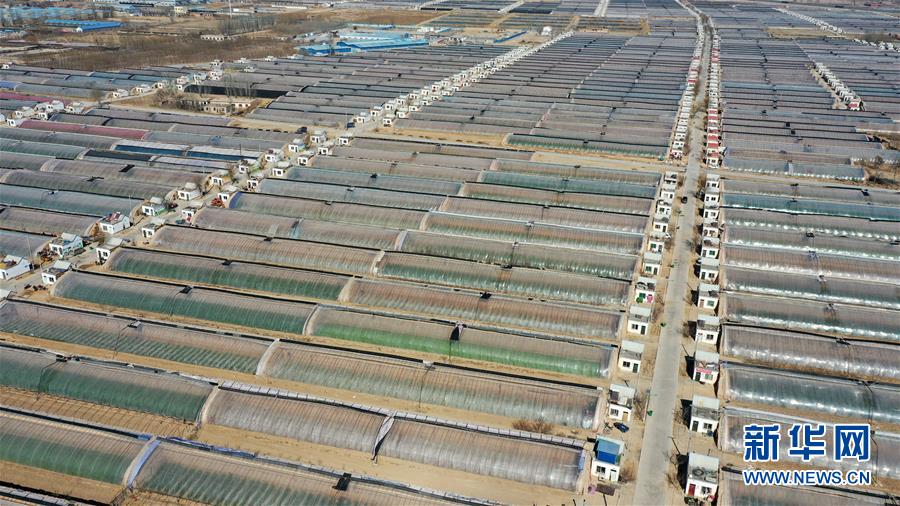 (在習(xí)近平新時(shí)代中國(guó)特色社會(huì)主義思想指引下——新時(shí)代新作為新篇章·習(xí)近平總書記關(guān)切事·圖文互動(dòng))(4)戰(zhàn)“疫”戰(zhàn)“貧”都要贏——脫貧攻堅(jiān)一線打響兩場(chǎng)硬仗