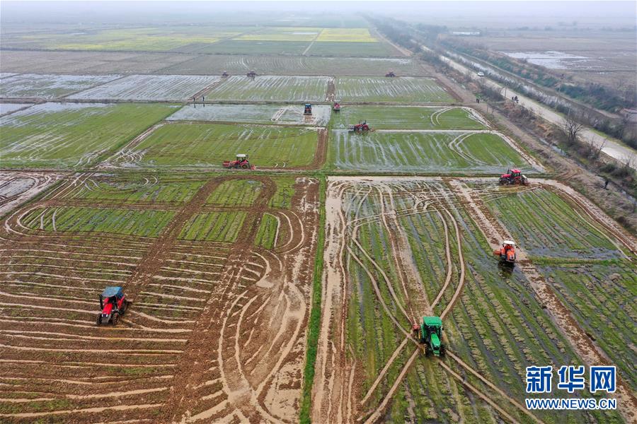 （抓好春耕備耕 穩(wěn)住農(nóng)業(yè)生產(chǎn)&middot;圖文互動(dòng)）（2）智能農(nóng)機(jī)、&ldquo;訂單&rdquo;服務(wù)、&ldquo;云端&rdquo;種菜&mdash;&mdash;來自江西的春耕&ldquo;新事&rdquo;