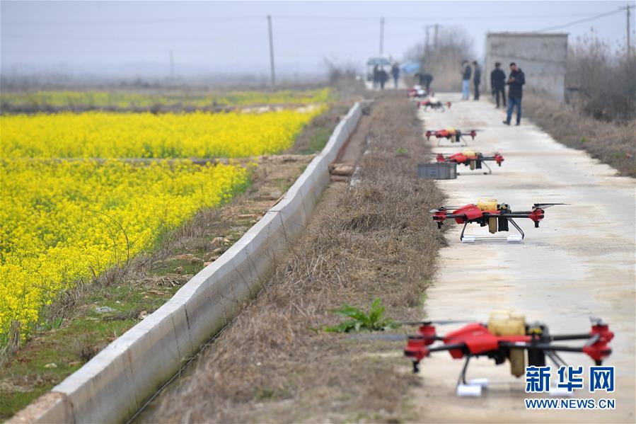 （抓好春耕備耕 穩(wěn)住農(nóng)業(yè)生產(chǎn)&middot;圖文互動(dòng)）（4）智能農(nóng)機(jī)、&ldquo;訂單&rdquo;服務(wù)、&ldquo;云端&rdquo;種菜&mdash;&mdash;來自江西的春耕&ldquo;新事&rdquo;