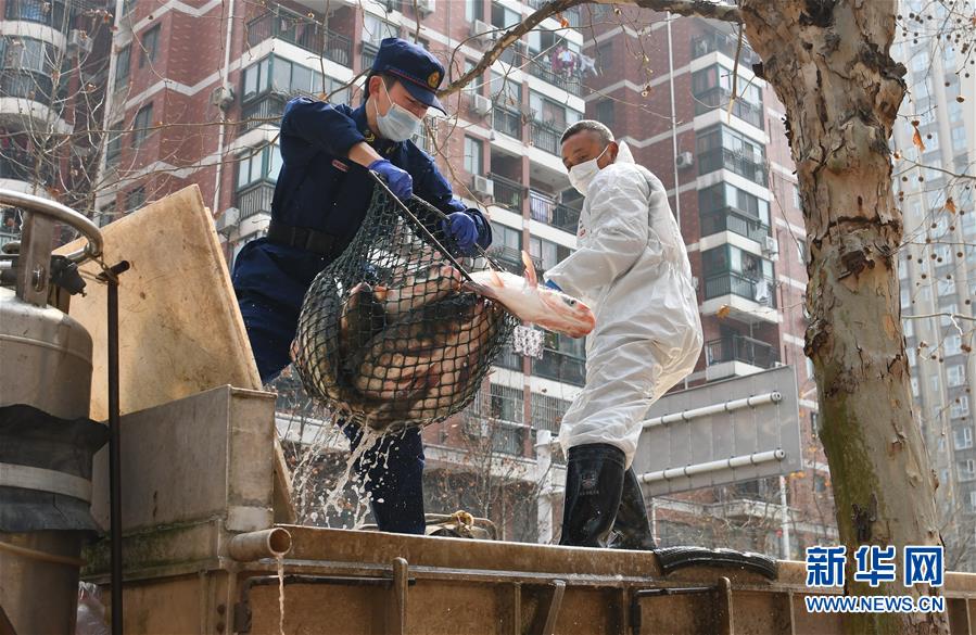 (聚焦疫情防控)(3)咸寧為武漢加“魚(yú)”