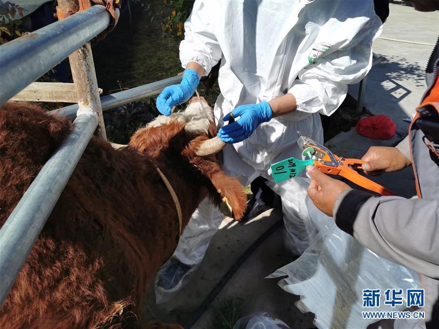 （決戰(zhàn)決勝脫貧攻堅&middot;圖文互動）（1）脫貧&ldquo;不暫停&rdquo; 服務(wù)&ldquo;不打烊&rdquo;&mdash;&mdash;天津通過&ldquo;云端&rdquo;幫扶為甘肅受援地區(qū)戰(zhàn)貧繼續(xù)助力