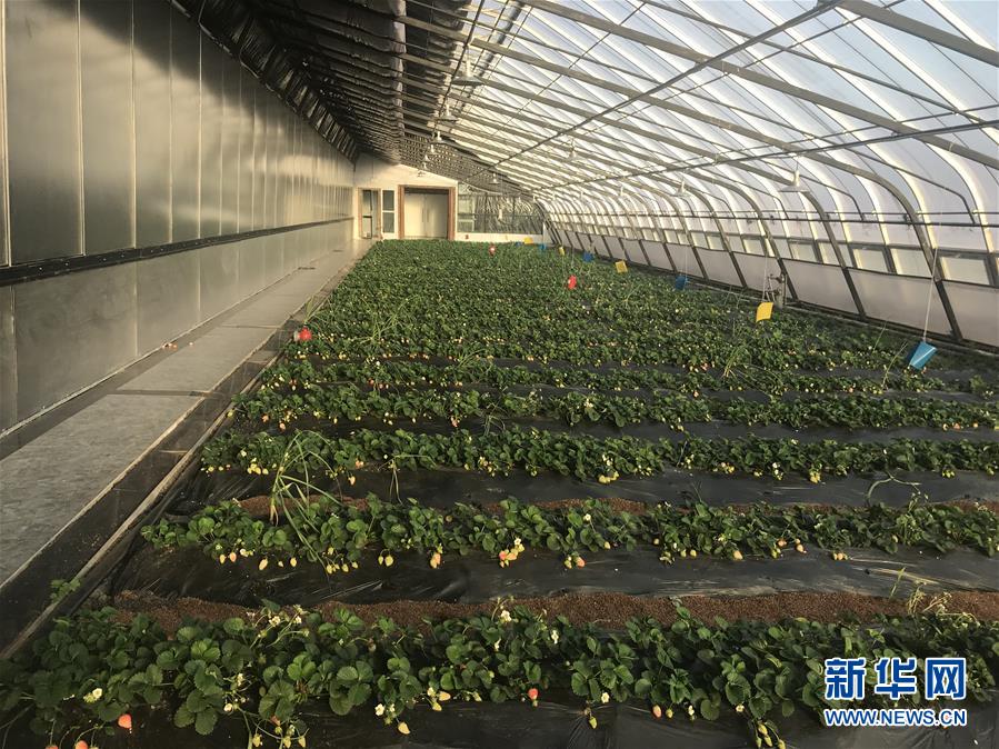 (圖文互動)(2)產業(yè)變綠 石墨變金 環(huán)境變美——“煤城”三變孕育春的生機