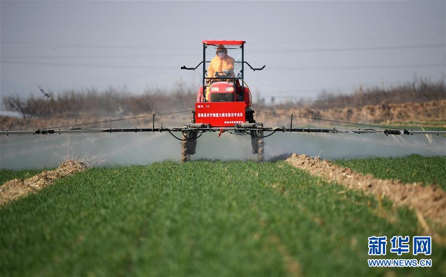 (新華全媒頭條·圖文互動(dòng))(9)春色最濃在田間——來(lái)自全國(guó)春耕備耕的現(xiàn)場(chǎng)觀察