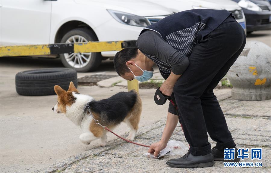 （聚焦疫情防控）（9）武漢：動物醫(yī)院里的臨時&ldquo;奶爸&rdquo;
