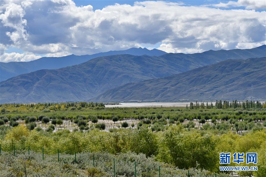 （圖文互動）（4）&ldquo;今天的生活，就像夢里夢到那樣甜&rdquo;&mdash;&mdash;寫在西藏百萬農(nóng)奴解放61周年之際