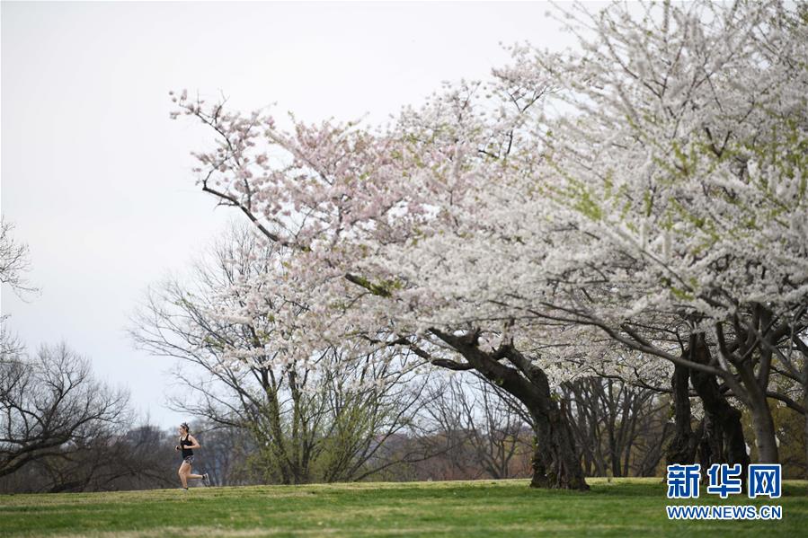 (國際疫情)(3)約翰斯·霍普金斯大學(xué):美國新冠肺炎確診病例超10萬例