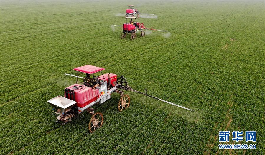 （新華全媒頭條&middot;圖文互動）（3）春天，匯聚復(fù)蘇的力量&mdash;&mdash;寫在2020年首季中國經(jīng)濟收官之際