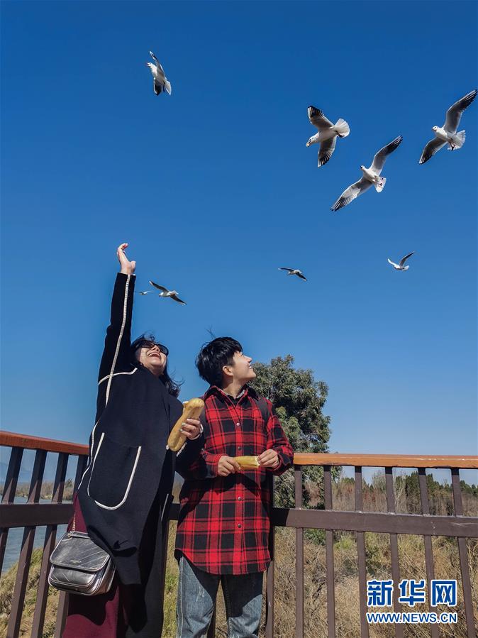 （一線抗疫群英譜&middot;圖文互動）（1）大學(xué)生志愿者譚藝西：在武漢，我和媽媽共戰(zhàn)&ldquo;疫&rdquo;