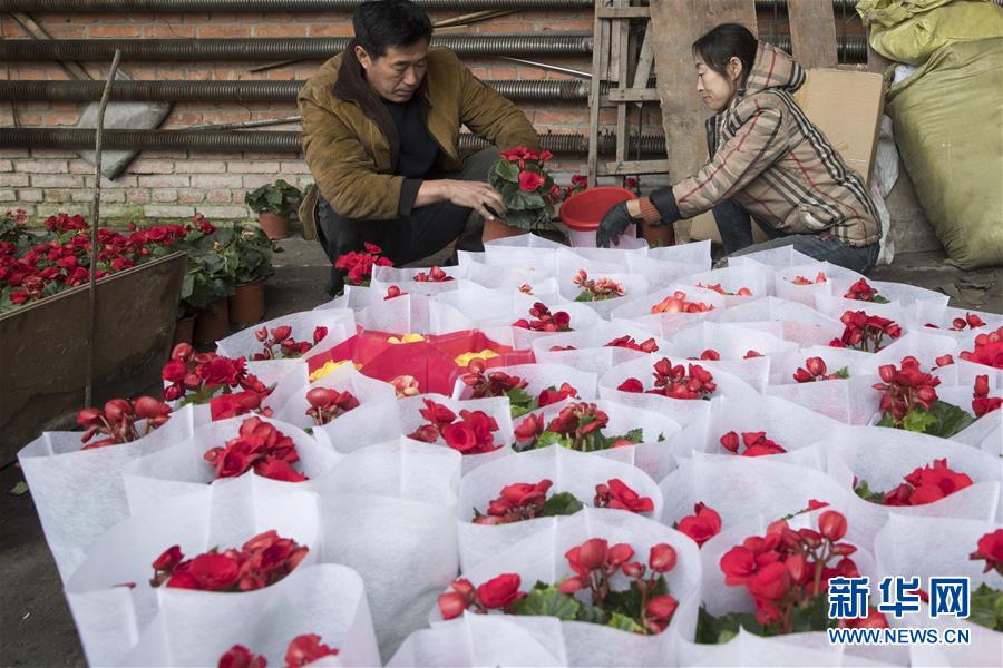 （在習(xí)近平新時(shí)代中國特色社會主義思想指引下&mdash;&mdash;新時(shí)代新作為新篇章&middot;習(xí)近平總書記關(guān)切事&middot;圖文互動）（1）希望的田野，希望的春天&mdash;&mdash;各地農(nóng)業(yè)生產(chǎn)新動態(tài)掃描