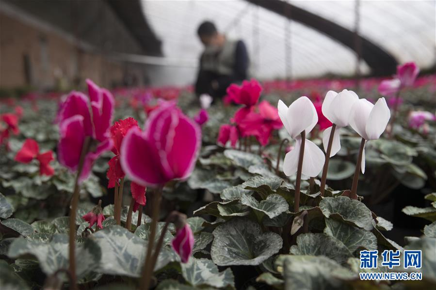 （在習(xí)近平新時(shí)代中國特色社會主義思想指引下&mdash;&mdash;新時(shí)代新作為新篇章&middot;習(xí)近平總書記關(guān)切事&middot;圖文互動）（2）希望的田野，希望的春天&mdash;&mdash;各地農(nóng)業(yè)生產(chǎn)新動態(tài)掃描