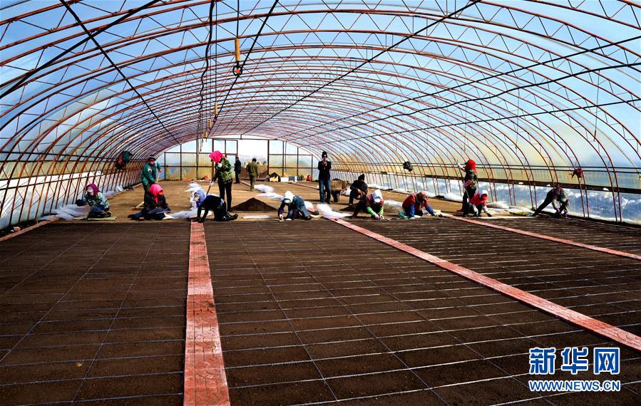 （在習(xí)近平新時(shí)代中國特色社會主義思想指引下&mdash;&mdash;新時(shí)代新作為新篇章&middot;習(xí)近平總書記關(guān)切事&middot;圖文互動）（5）希望的田野，希望的春天&mdash;&mdash;各地農(nóng)業(yè)生產(chǎn)新動態(tài)掃描