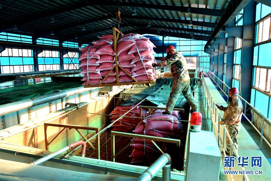 （在習(xí)近平新時(shí)代中國特色社會主義思想指引下&mdash;&mdash;新時(shí)代新作為新篇章&middot;習(xí)近平總書記關(guān)切事&middot;圖文互動）（6）希望的田野，希望的春天&mdash;&mdash;各地農(nóng)業(yè)生產(chǎn)新動態(tài)掃描