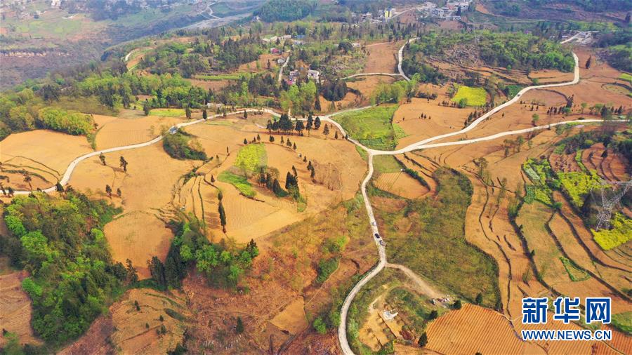 （決戰(zhàn)決勝脫貧攻堅(jiān)&middot;圖文互動(dòng)）（2）寄相思，償夙愿&mdash;&mdash;5封清明&ldquo;家書&rdquo;里的決戰(zhàn)決勝信念