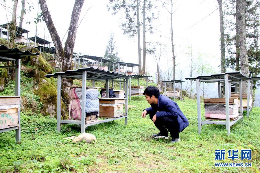 （決戰(zhàn)決勝脫貧攻堅(jiān)&middot;圖文互動(dòng)）（3）寄相思，償夙愿&mdash;&mdash;5封清明&ldquo;家書&rdquo;里的決戰(zhàn)決勝信念