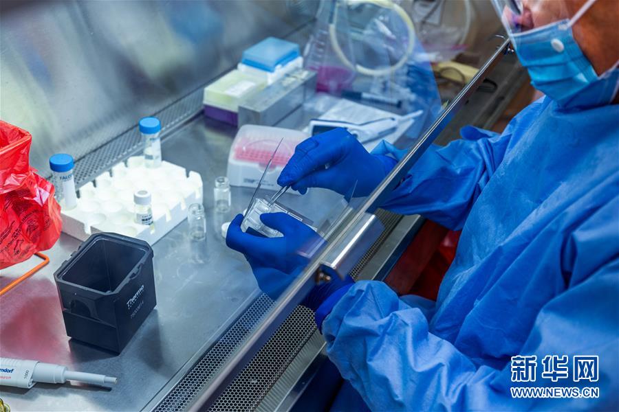 （新華全媒頭條&middot;圖文互動）（3）為人類戰(zhàn)疫打造最有力的武器&mdash;&mdash;全球合力加速研發(fā)新冠疫苗