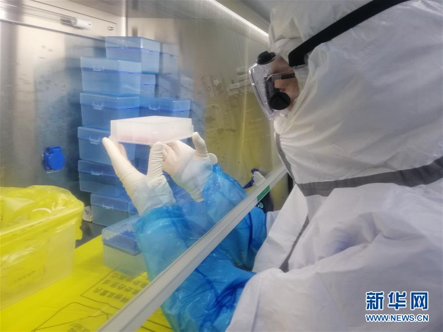 （一線抗疫群英譜&middot;圖文互動）（2）&ldquo;95后&rdquo;大學生郝鶯歌：退掉車票，她選擇直面病毒