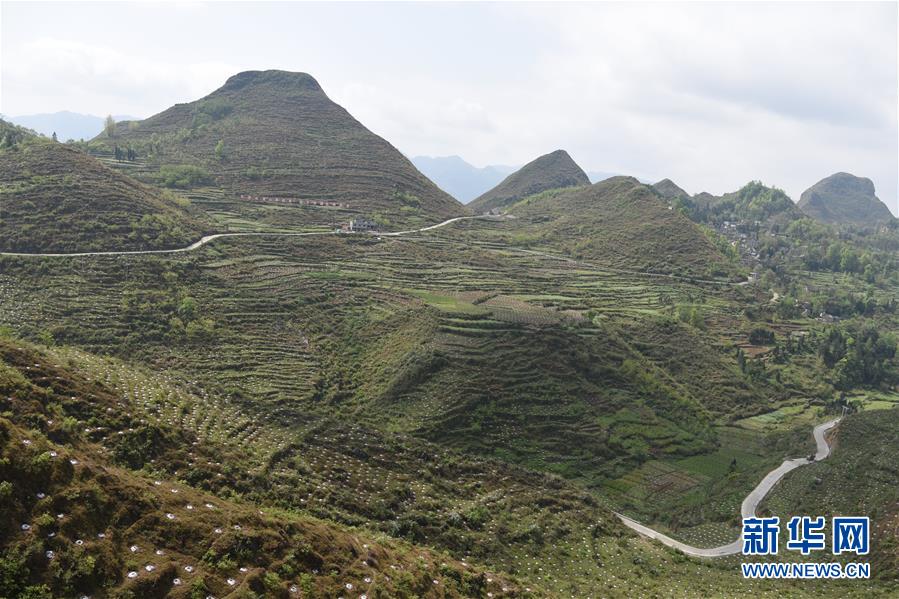 (決戰(zhàn)決勝脫貧攻堅(jiān)·圖文互動(dòng))(1)逐項(xiàng)逐戶排查補(bǔ)齊脫貧攻堅(jiān)“短板”——貴州晴隆縣扶貧一線工作見(jiàn)聞