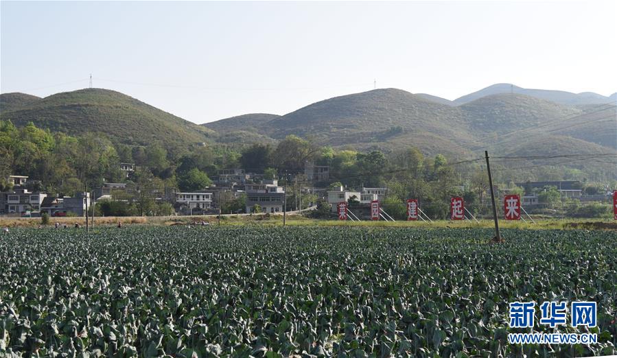 (決戰(zhàn)決勝脫貧攻堅(jiān)·圖文互動(dòng))(2)逐項(xiàng)逐戶排查補(bǔ)齊脫貧攻堅(jiān)“短板”——貴州晴隆縣扶貧一線工作見(jiàn)聞