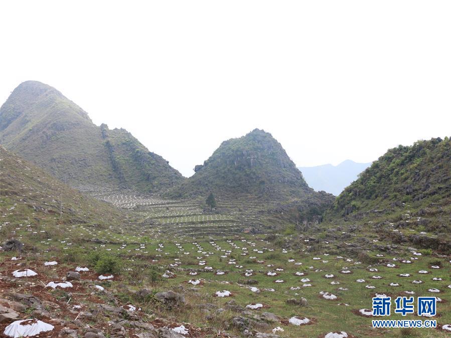 (決戰(zhàn)決勝脫貧攻堅(jiān)·圖文互動(dòng))(4)逐項(xiàng)逐戶排查補(bǔ)齊脫貧攻堅(jiān)“短板”——貴州晴隆縣扶貧一線工作見(jiàn)聞