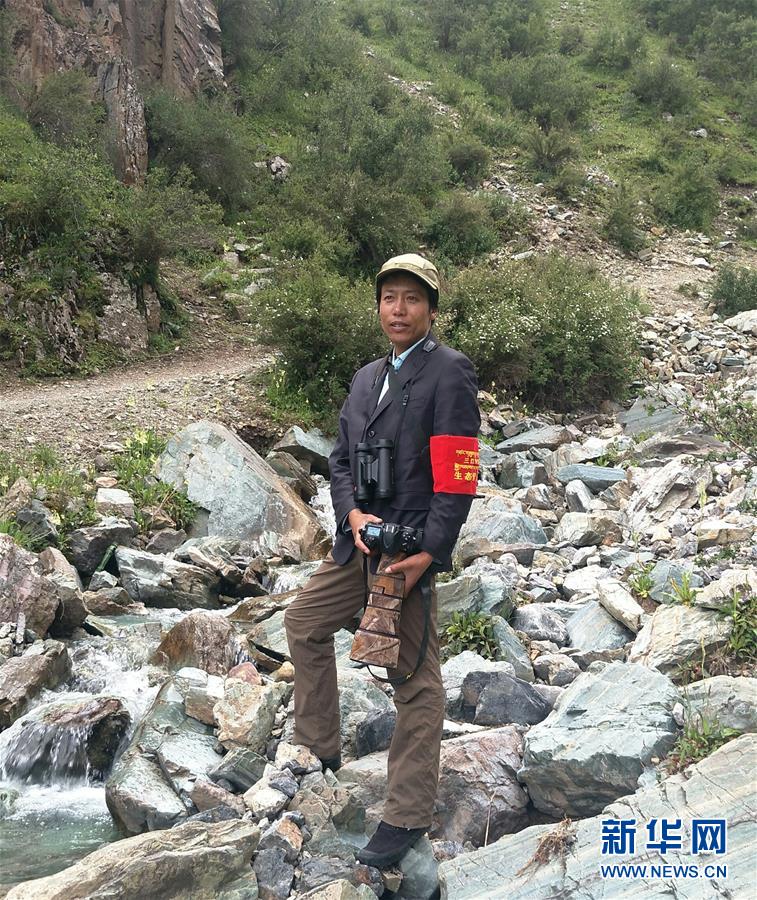 (玉樹(shù)地震10周年·圖文互動(dòng))(4)牧民才仁尼瑪?shù)?ldquo;科研”人生
