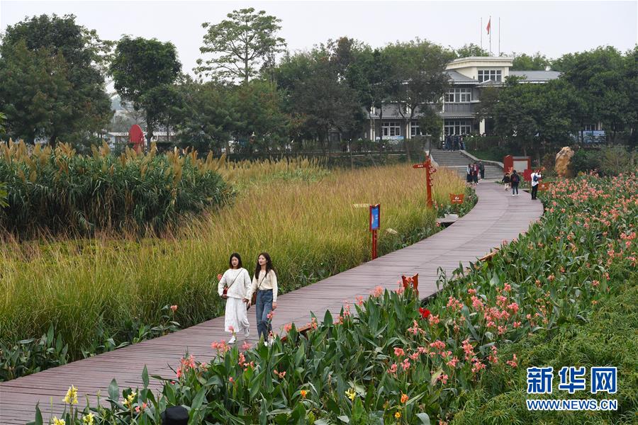 （新華全媒頭條&middot;圖文互動(dòng)）（4）為有源頭清水來&mdash;&mdash;深圳&ldquo;馴水記&rdquo;