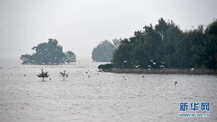 （新華全媒頭條&middot;圖文互動(dòng)）（5）為有源頭清水來&mdash;&mdash;深圳&ldquo;馴水記&rdquo;