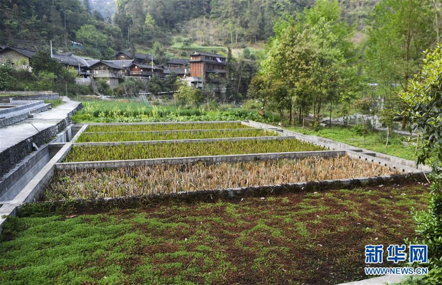 （圖文互動）（3）&ldquo;消失&rdquo;的小南海