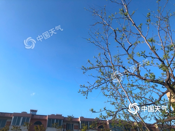 陣風(fēng)8級(jí)！北京遭遇雨后大降溫 北風(fēng)勁吹需添衣