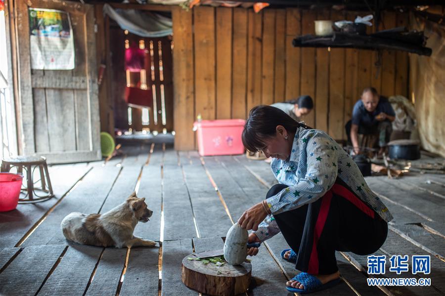 （決戰(zhàn)決勝脫貧攻堅(jiān)&middot;圖文互動(dòng)）（8）&ldquo;孩子再也不用學(xué)打獵了&rdquo;&mdash;&mdash;拉祜族女獵手告別狩獵