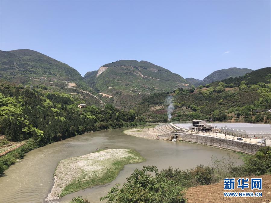 (決戰(zhàn)決勝脫貧攻堅·圖文互動)(1)野奶角又見春天