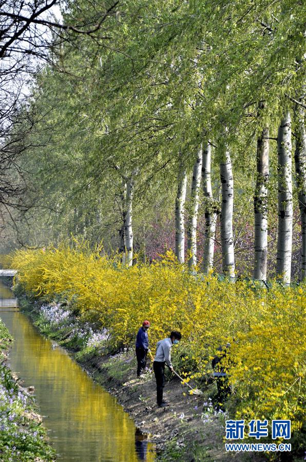 (新華全媒頭條·圖文互動(dòng))(4)永遠(yuǎn)的夢(mèng)想 永恒的追求——寫(xiě)在北京世園會(huì)開(kāi)幕一周年之際