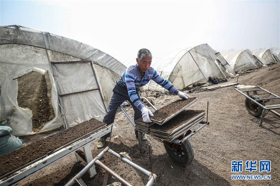 （在習近平新時代中國特色社會主義思想指引下&mdash;&mdash;新時代新作為新篇章&middot;習近平總書記關(guān)切事&middot;圖文互動）（5）春耕忙 信心足&mdash;&mdash;谷雨時節(jié)走馬東北直擊糧事