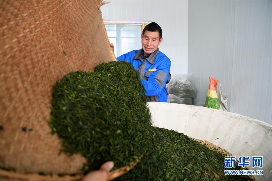 (新華全媒頭條·圖文互動)(5)紅土地上的“綠色減貧”決戰(zhàn)——大別山“將軍縣”金寨脫貧紀實