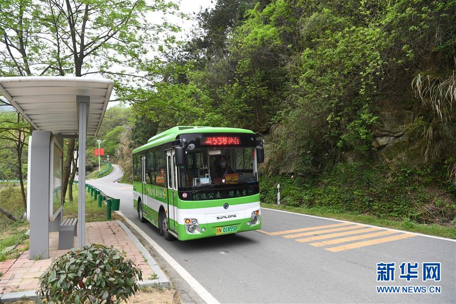 (新華全媒頭條·圖文互動)(6)紅土地上的“綠色減貧”決戰(zhàn)——大別山“將軍縣”金寨脫貧紀實