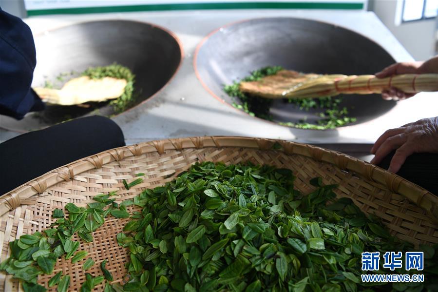 (新華全媒頭條·圖文互動)(9)紅土地上的“綠色減貧”決戰(zhàn)——大別山“將軍縣”金寨脫貧紀實