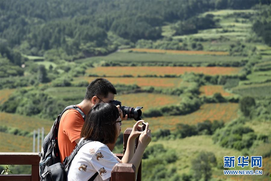 （圖文互動(dòng)）（1）這座小城，鐫刻下怎樣的&ldquo;世園印記&rdquo;&mdash;&mdash;北京世園會(huì)開(kāi)園一周年探訪延慶